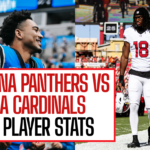 carolina panthers vs arizona cardinals match player stats