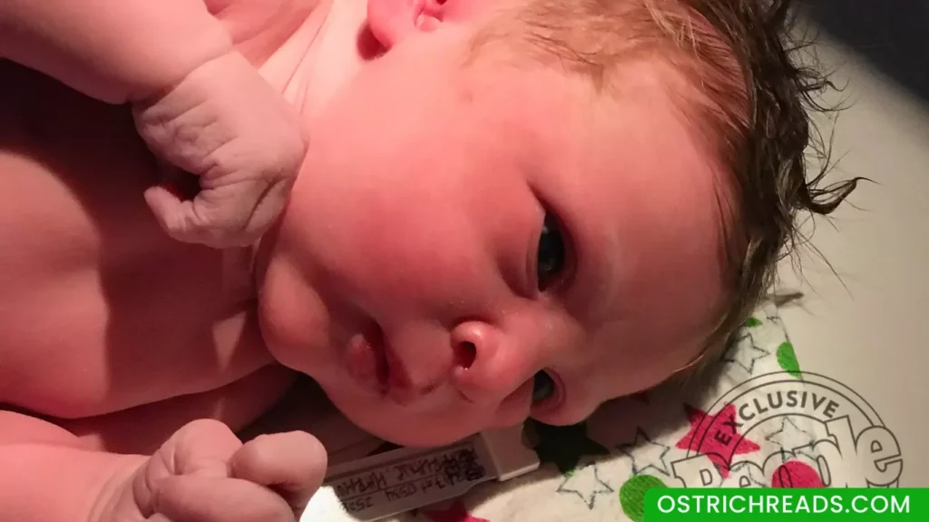 zeppelin adele gilford