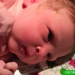 zeppelin adele gilford